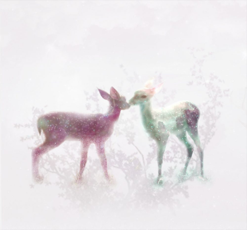 Roedeers double exposure
