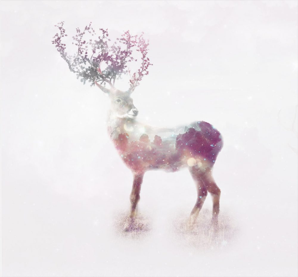 Double exposure reindeer illustration