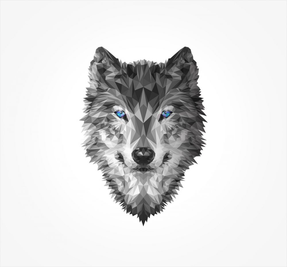 Artistic wolf portrait